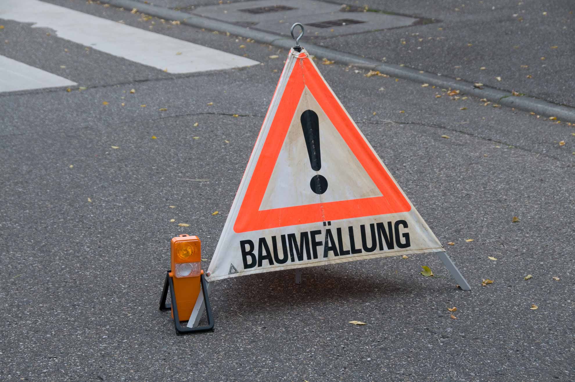 Warnschild für Baumfällung in Schwerin