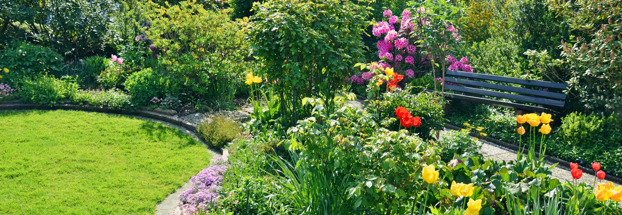 Pflanzung von Gehölz im Garten