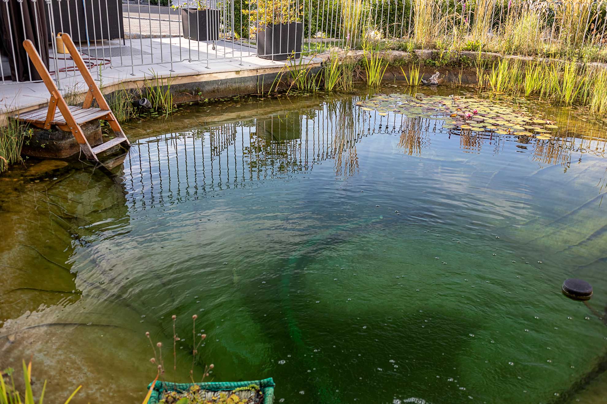 Schwimmteich mit Leiter und Zaun im Garten
